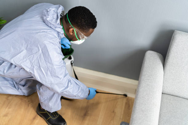 Best Pest Prevention Services  in Avilla, IN